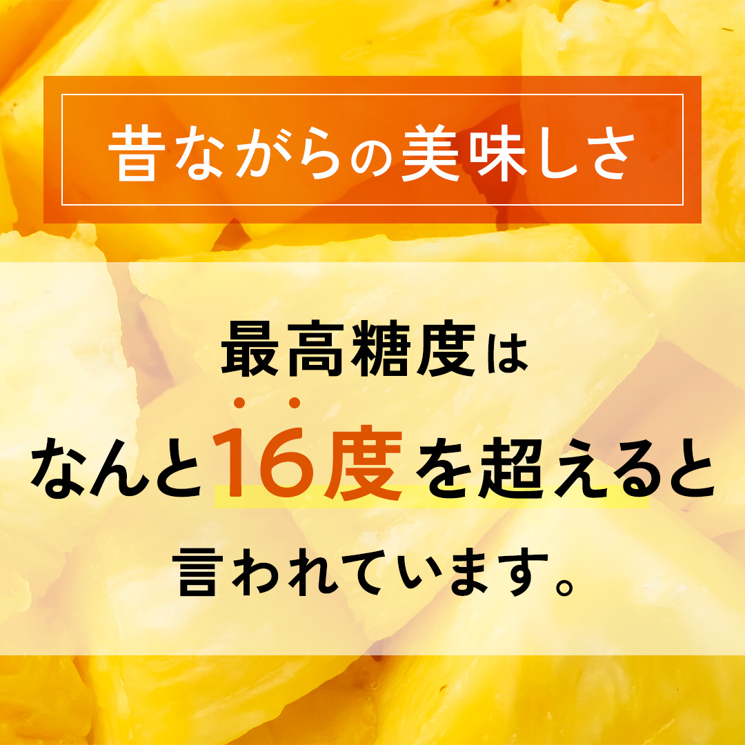 【先行予約】石垣島産 中玉 夏実パイン（島パイン）４玉 合計約3.8kg《2025年夏季 順次発送》【 産地直送 沖縄 石垣 フルーツ パイナップル パイン ハワイ 夏美パイン 】SI-125