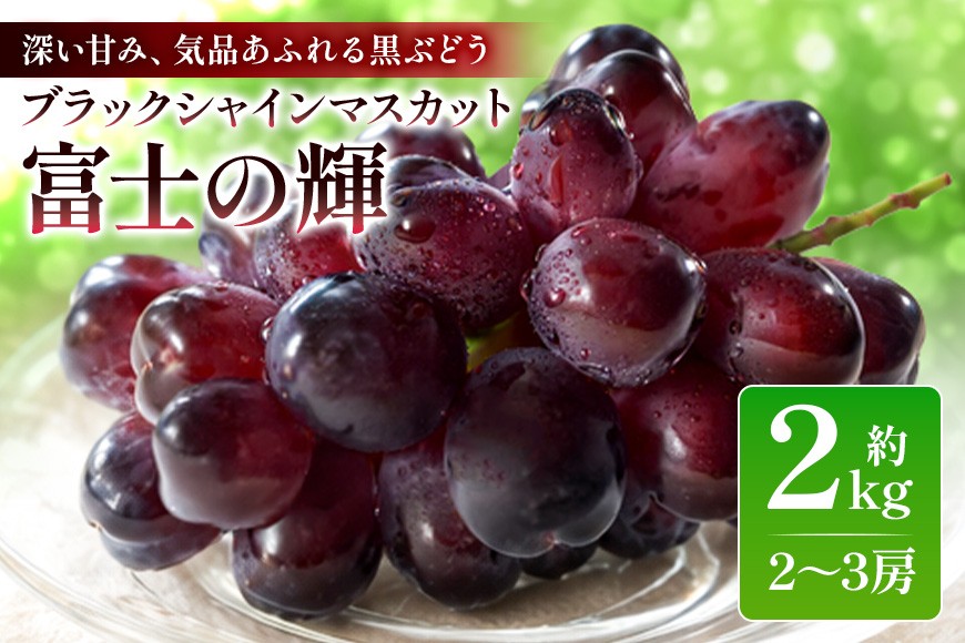 
                  【数量限定・期間限定】 ブラックシャインマスカット「富士の輝」約2kg（2房～3房） マスカット ブドウ ぶどう 葡萄 皮ごと食べられる ジューシー 果物 フルーツ くだもの ブラック シャインマスカット ウィンク 【9月下旬より順次発送予定】 54-E
                