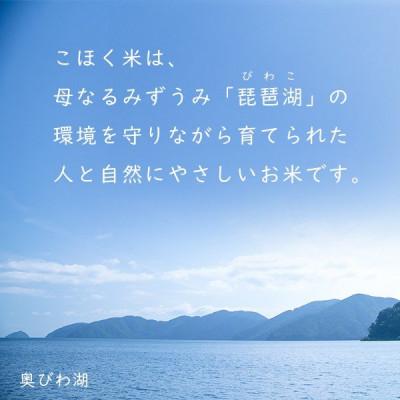 ふるさと納税 長浜市 令和6年産 滋賀県湖北産 湖北のコシヒカリ　玄米　5kg 【食味最高ランク特A 3年連続受賞】 |  | 03