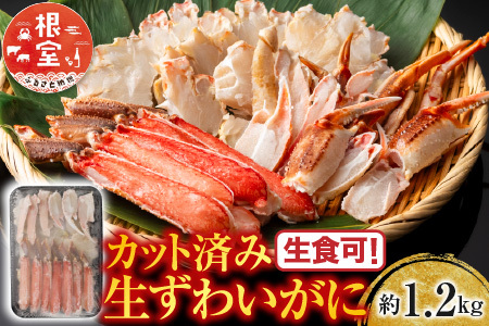 [12月10日決済分まで年内配送]生食可！カット済み生ずわいがに約1.2g(お刺身・焼きガニ・カニ鍋等) B-11099