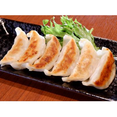 ふるさと納税 水俣市 あか牛ぎょうざセット(あか牛餃子20個入り×2箱)(水俣市) |  | 02