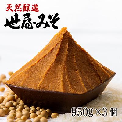 ふるさと納税 宮津市 世屋みそ 950g 3個セット