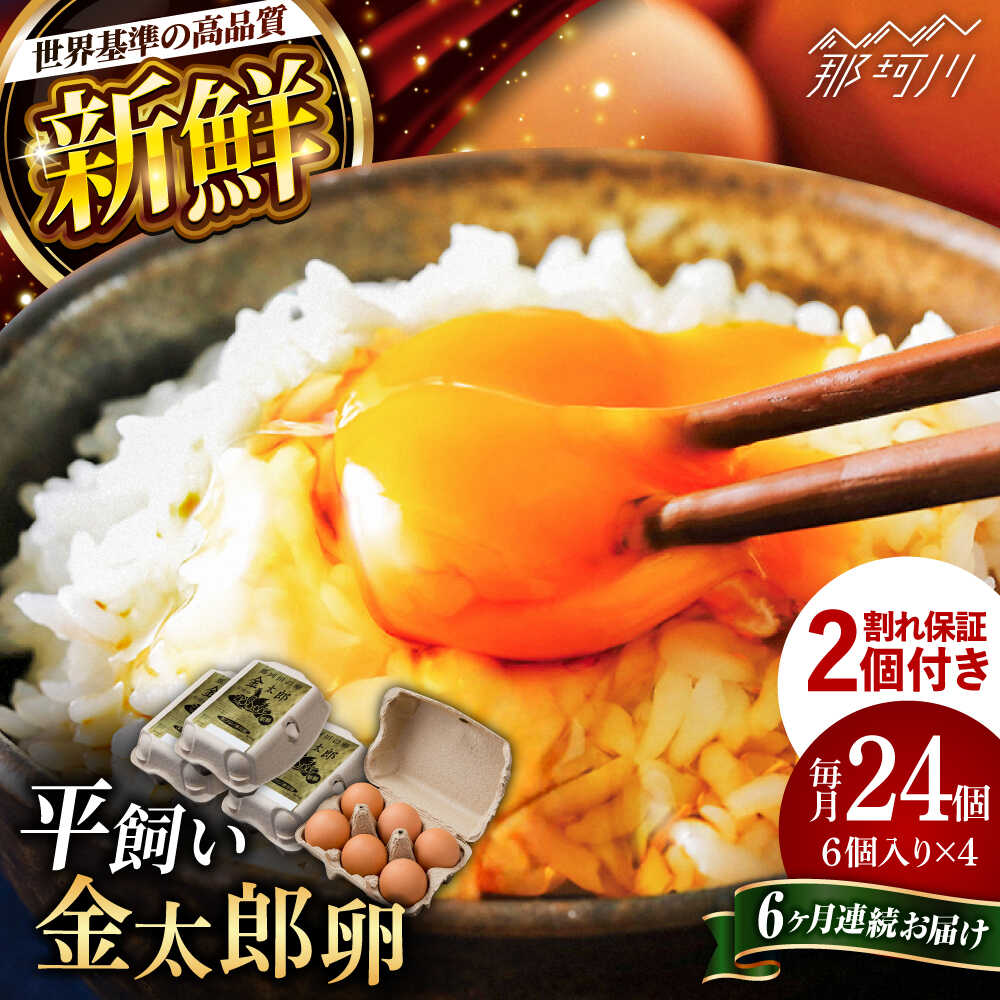 【ふるさと納税】【6回定期便】【TVで紹介！】【鮮度AA級の世界最高ランク！】金太郎卵 たまご 定期便 平飼い 卵 朝食 卵かけご飯 おすすめ 玉子 新鮮 24個（6個×4パック）＜有限会社フジノ香花園＞那珂川市 | 父の日[GAM034] 70000 70000円 7万円 以上
