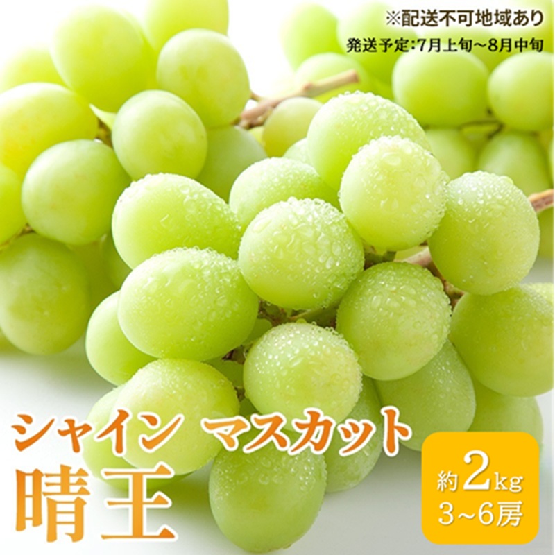 ぶどう 2026年 先行予約 シャイン マスカット 晴王 3房～6房 約2kg ブドウ 葡萄  岡山県産 国産 フルーツ 果物 ギフト シャインマスカット 美しい 大粒 種なし 弾力 高糖度 甘い