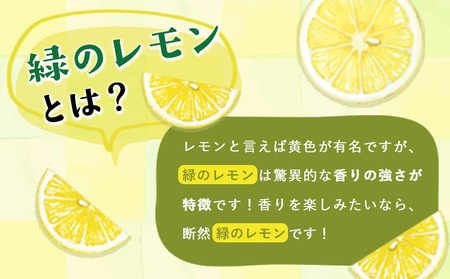 ノーワックス 観音山レモン4kg