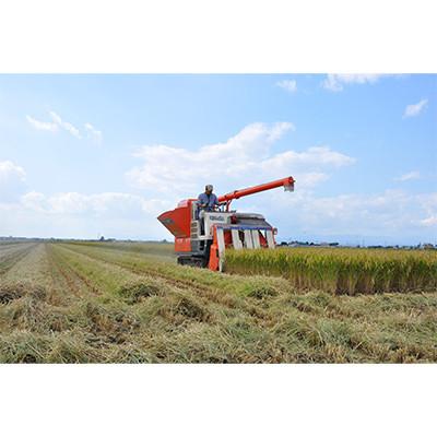 ふるさと納税 長沼町 【毎月定期便】皇室献上米　北海道産ゆめぴりか 5kg精米全12回 |  | 02