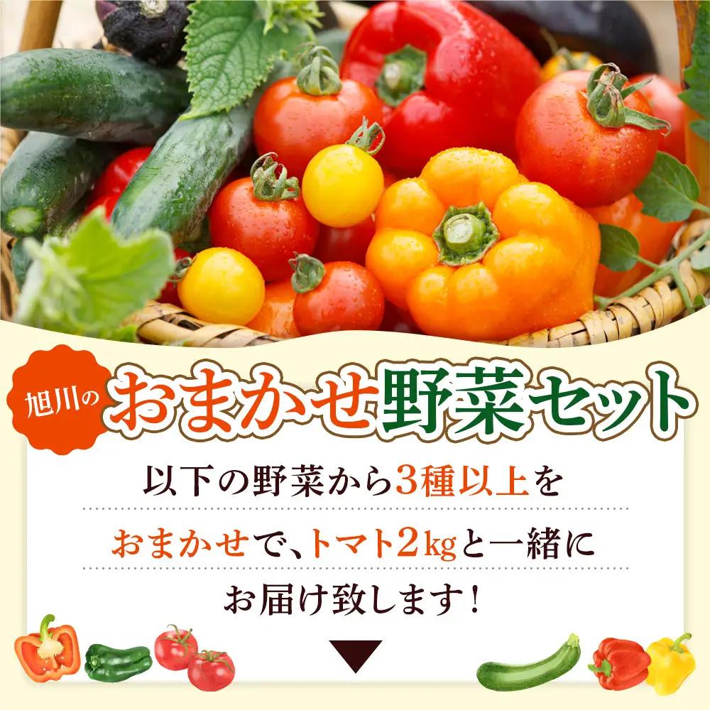 【先行予約】旭川のおまかせ野菜セット(トマト2kg＋3種以上)(2026年7月下旬発送開始) 野菜セット _05910
