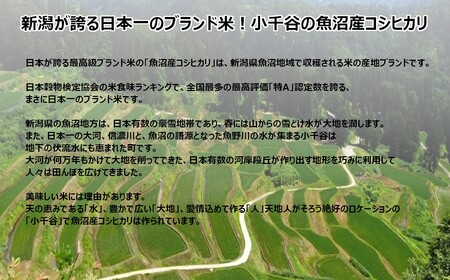 r05-12-2JA ＜令和5年産＞ 魚沼産コシヒカリ5kg【クラフト袋入り】（JA魚沼）白米 魚沼 米