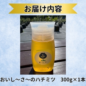 長野県産はちみつ 300g（純粋・非加熱・天然100%） 信州 佐久市 無添加 国産 アカシア 蜂蜜 ハニー パン ヨーグルト 希少 ブルーベリー はちみつ