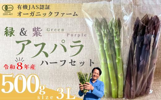 【先行予約】オーガニック パープル＆グリーンアスパラガス ハーフセット  3L 500g【オーガニックアスパラ 有機JAS認証 グリーンアスパラガス パープルアスパラガス ハーフセット 3Lサイズ 新鮮野菜 産地直送 500g 春野菜 自然栽培 循環型農法  甘いアスパラガス 香り豊か 野菜ギフト 旬の野菜 お取り寄せ野菜 】
