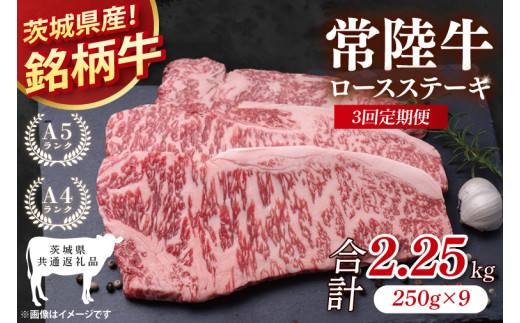 【茨城県共通返礼品】【3回定期便】常陸牛ロースステーキ 計2.25kg(250g×9)【銘柄牛 牛肉 冷凍 たんぱく質 ビタミン 茨城県産】(81-10)