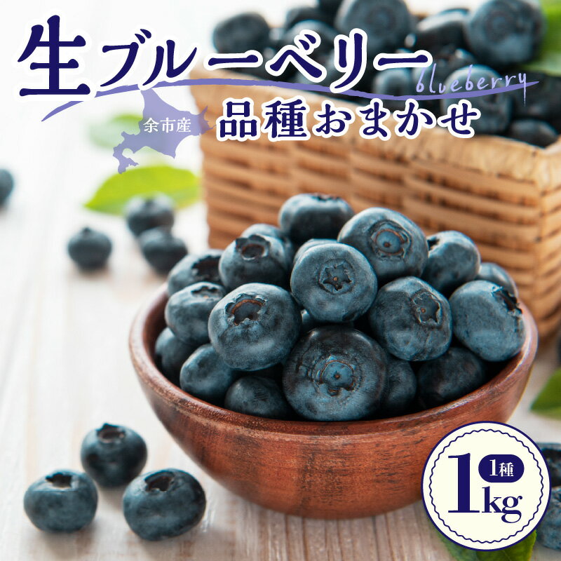 【ふるさと納税】【2026年7月下旬頃より発送】海外も認める高品質 生ブルーベリー 1kg ( 500g×2 ) 日本最大級農場産 手摘み収穫 アイケイファーム余市 ブルーベリー 順次発送 食べ比べ 青果 フルーツ 果物 スムージー ジュース ヨーグルト ジャム 北海道 余市町 送料無料
