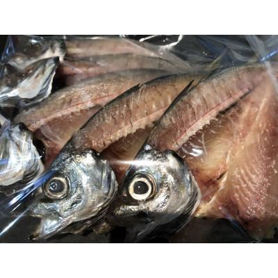 ふるさと納税 八幡浜市 八幡浜発!竹中水産の「匠の一夜干し:天然アジ」【F22-158】