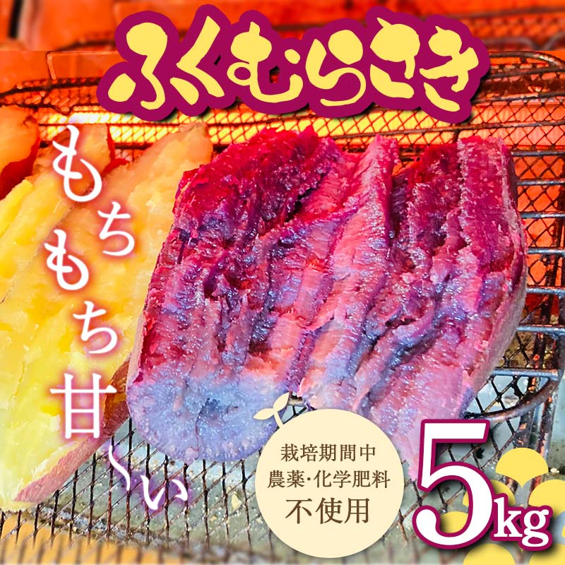 【ふるさと納税】 栽培期間中、農薬・化学肥料不使用 もちもち甘～い『ふくむらさき』サイズ 大～小混合 5kg さつまいも サツマイモ 山形県 新庄市 F3S-1941