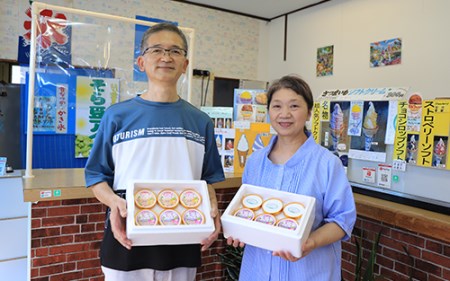 こだわりの逸品 特別な 紫いも アイス と上品な 安納芋 アイス の8個セット(イッシーホンポ/010-176) 手作り アイス 紫いも アイス 安納いも アイス