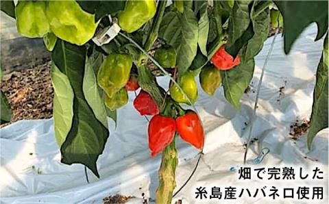 浅漬けの素 ハバネロしょうゆ 200ml【シェフのごはんやさん四季彩】 【いとしまごころ】 [ACC006]