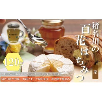 ふるさと納税 猪名川町 猪名川の百花はちみつ(栗)