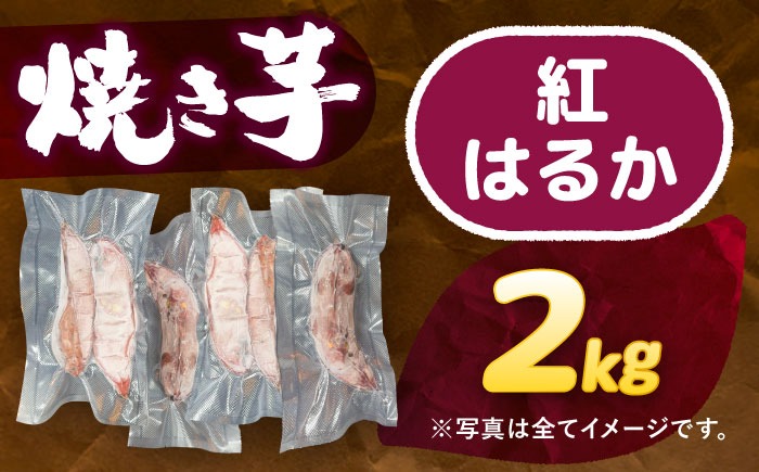 選べる品種/ 焼き芋 紅はるか 2kg (4〜8本) さつまいも 焼きいも おやつ 愛西市 / 就労継続B型事業所ヤシの木[AEDG004]
