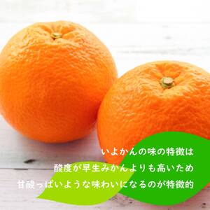 【2026年1月下旬ごろ順次発送】 伊予柑 いよかん 約 5kg 愛媛 興居島 柑橘 糖度 別名 宮内伊予柑【SHM005】