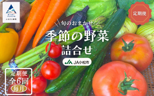 野菜定期便 《JA小松市（毎月） 定期便６ヶ月》季節の野菜詰合せ 6回