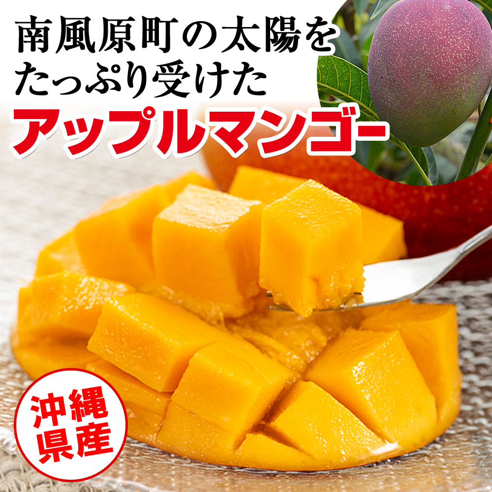【2025年発送】南国の果物　沖縄県産アップルマンゴー　2kg_イメージ3