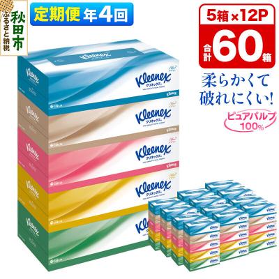 ふるさと納税 秋田市 《4回定期便》クリネックス ティシュー 60箱 ティッシュ|15_nsc-031204