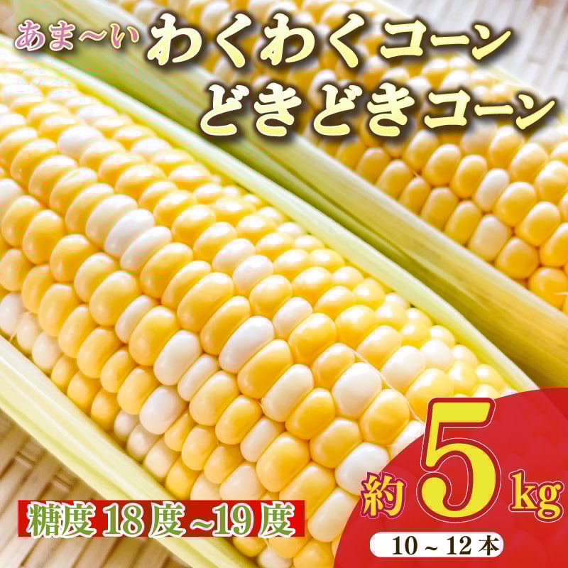 
            【予約受付令和8年6月から発送開始】 とうもろこし 野菜 スイーツ わくわくコーン どきどきコーン 10 ～ 12 本 約 5㎏ 糖度18 ~ 19度 予約受付 予約 甘い あまい レジャー キャンプ コーン 美味しい おいしい 野菜 バーベキュー BBQ 産地直送 新鮮 生鮮 食品 おやつ 送料無料 期間限定 数量限定 限定 もろこし スイートコーン 静岡県 牧之原市 もろこしショップ ぐりぱ
          