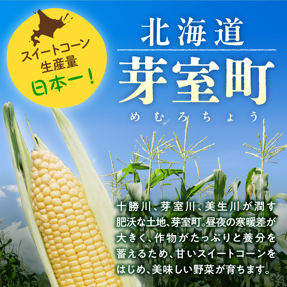 【先行予約】【2025年産】北海道十勝芽室町 とうもろこし スイートコーン20本 イエロー種 me002-014c-25