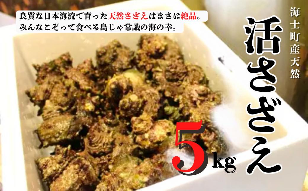 
            【8月下旬以降順次発送】島獲れ活さざえ5kgセット 日本海の離島の新鮮なさざえを約50匹お届けします! 冷蔵便 サザエ 栄螺 貝 海鮮 BBQ さざえご飯 壺焼き 刺身 バーベキュー ギフト お中元 御中元
          