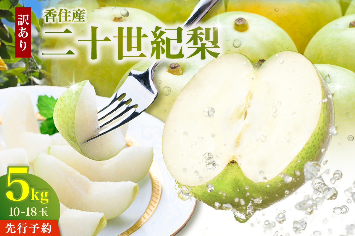 《2027年産 先行予約》 二十世紀梨 訳あり 約5kg（L～5Lサイズ混合 10～18玉） 生産者応援商品 【令和9年8月下旬以降発送予定】 国産 梨 香住産 20世紀梨 シャキシャキ 甘い みずみずしい 香住梨 フルーツ 果物 なし ナシ ご家庭用 ジャム 加工用 傷あり 不揃い 青梨 和梨 大人気 人気 おすすめ ランキング 兵庫県 香美町 JAたじま 1万以下 12-23