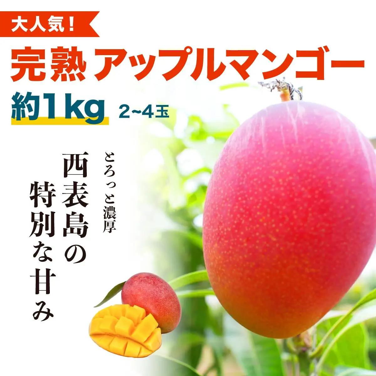 アップルマンゴー 約2kg 