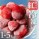 【ふるさと納税】【予約受付】冷凍国産イチゴ 1kg 2kg 3kg 4kg 5kg 2025年2月発送 国産 完熟 スムージー ジャム ヨーグルト イチゴ 紅ほっぺ 苺 果物 フルーツ 静岡 冷凍 いちご フローズン 選べる 人気 入賞 2020年第31回静岡県いちご果実品評会入賞 大容量 南伊豆