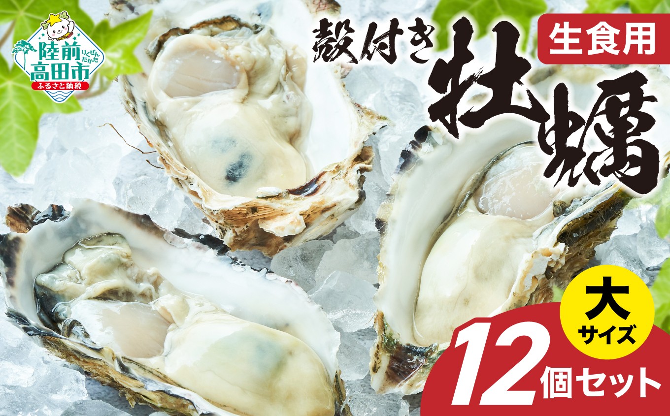 
            【先行予約】 生食用 殻付き牡蠣 大サイズ 12個セット 『一本松牡蠣』【 天然 牡蠣 かき 殻付き 生食 大粒 旬 産地直送 国産 陸前高田 三陸産 広田湾産 気仙町 】RT2848
          