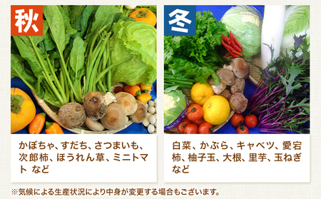 旬の新鮮な 野菜便 定期便 計4回お届け 各8～10品 アグリサポート美馬《次シーズンから出荷》春夏秋冬 定期 野菜 青果物 お取り寄せ 送料無料 徳島県 美馬市