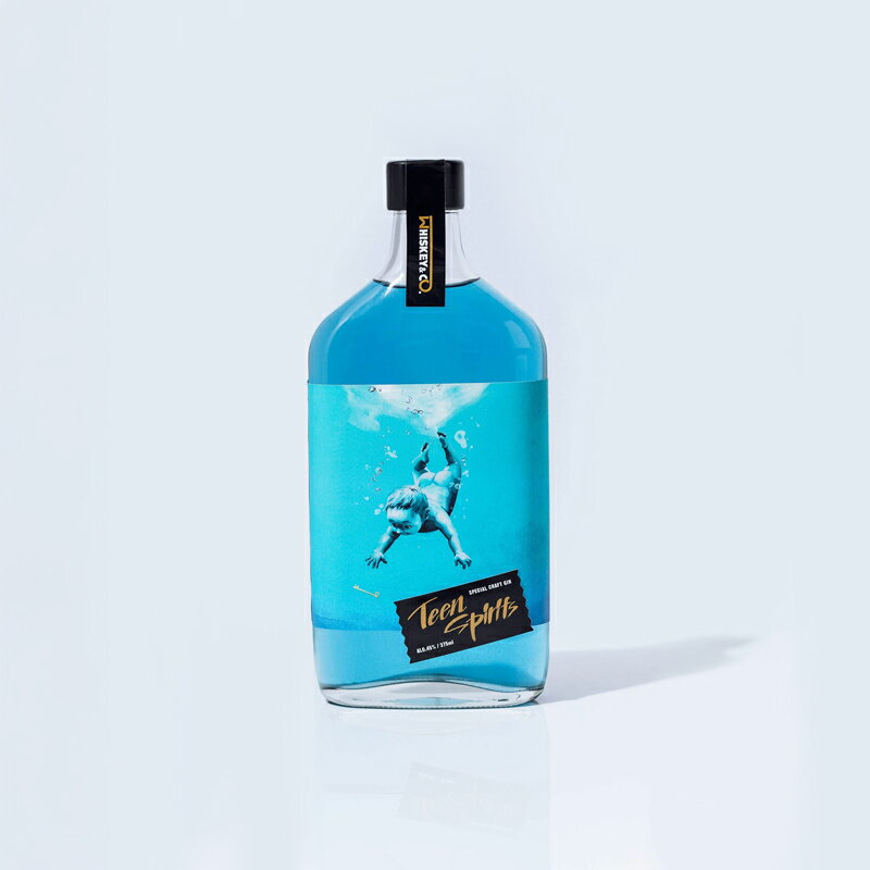【ふるさと納税】 【三島製造クラフトジン】Teen Spirits（ティーン スピリッツ）選べる本数 1本 2本 5本 10本 -Whiskey&Co.-