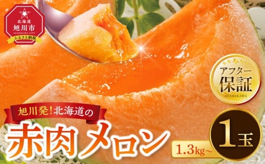 【26年発送先行予約】旭川発！北海道の赤肉メロン1玉（1玉標準 1.3kg以上）2026年6月下旬から発送開始予定 【 果物 くだもの フルーツ メロン 赤肉 赤肉メロン 旬 お取り寄せ 甘い 北海道産 旭川市 北海道 】 _05230