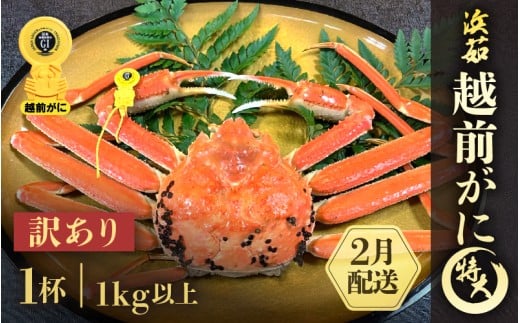 【訳あり】≪浜茹で≫越前がに 特大サイズ 1杯（生で1kg以上）【雄 ズワイガニ かに カニ 蟹 越前ガニ 姿 ボイル 冷蔵 福井県】【2月発送分】希望日指定可 備考欄に希望日をご記入ください [e68-x007_02]