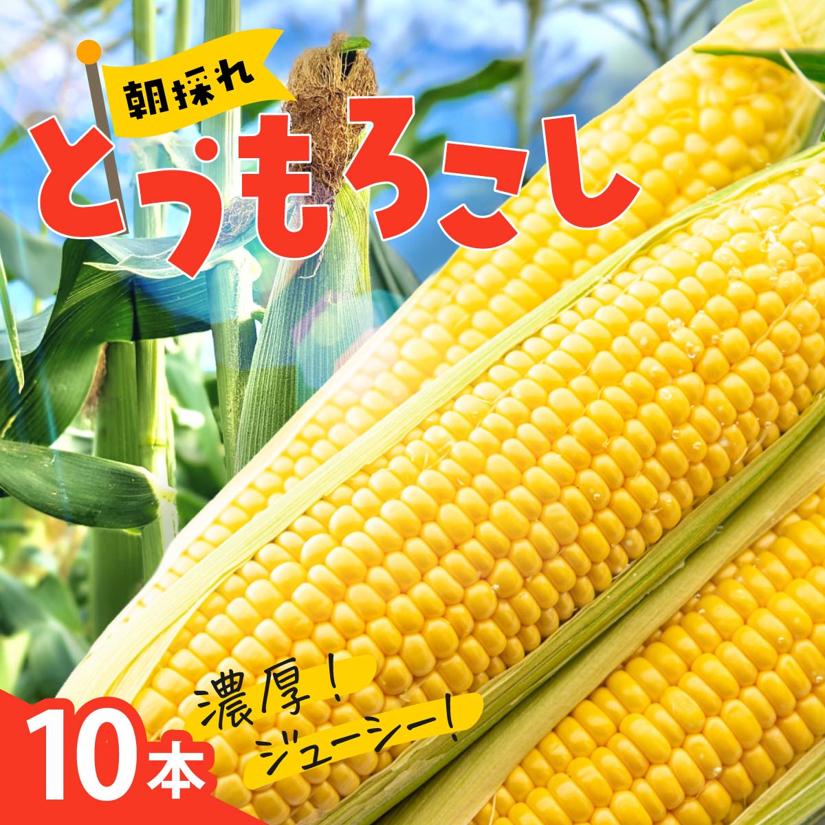 【ふるさと納税】とうもろこし 選べる本数 10本 20本 | トウモロコシ 新鮮 とれたて 産地直送 甘い 減農薬 野菜ソムリエ みずみずしい 旬野菜 生野菜 サラダ ギフト レシピ 贈り物 国産 朝採れ 新鮮野菜 産直 良農園 群馬県 前橋市