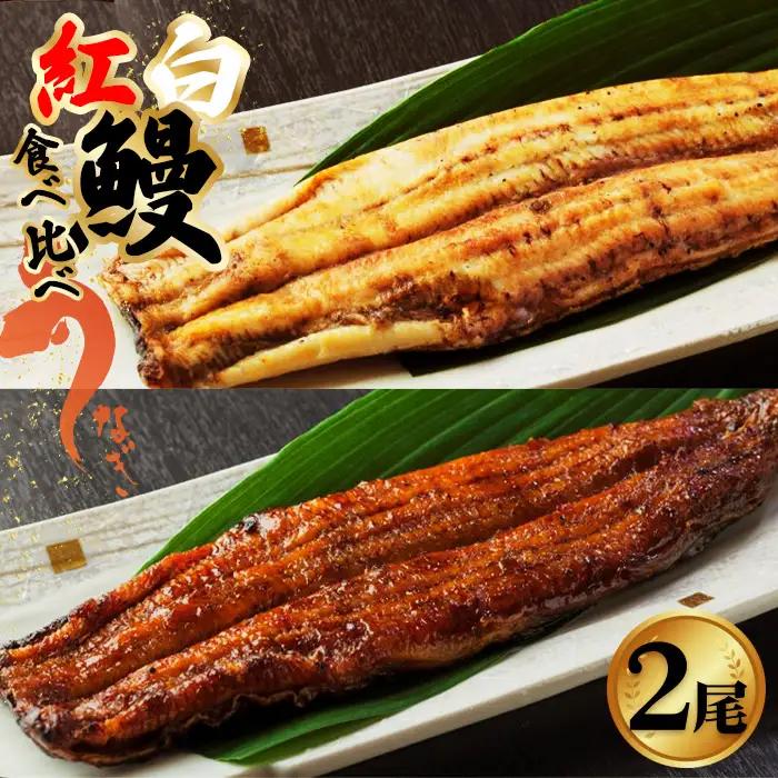 No.496 食べ比べ紅白鰻各1尾