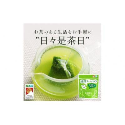 ふるさと納税 錦江町 緑茶ティーバッグ【ノウフクJAS認証茶】(4g×10p) No.054-2