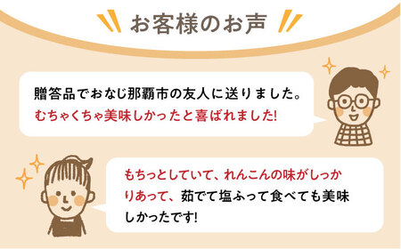 【先行予約 2026年8月〜発送】 泥付きれんこん3kg / れんこん [IAW006]