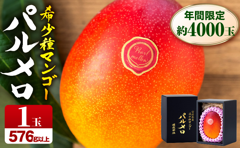 《2026年発送先行予約》【期間・数量限定】宮崎県産希少種マンゴーパルメロ　計576g以上　1玉入り 希少種 マンゴー 完熟マンゴー