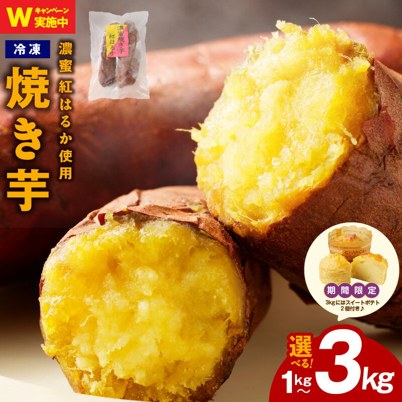 【ふるさと納税】濃蜜 紅はるか 冷凍 焼き芋 お試し 1kg / 2kg / 3kg 特別規格 55キャンペーン 期間限定 芋匠さのや さつまいも お店で大人気 熟成 甘い 自然派 スイーツ デザート おやつ ほっくり ねっとり しっとり 食物繊維 半解凍 国産 泉佐野市 送料無料 さのやCP