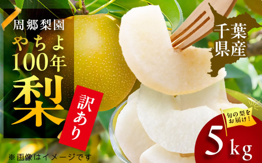 2026年発送先行受付 周郷梨園のやちよ100年梨家庭用(5kg)【1493891】