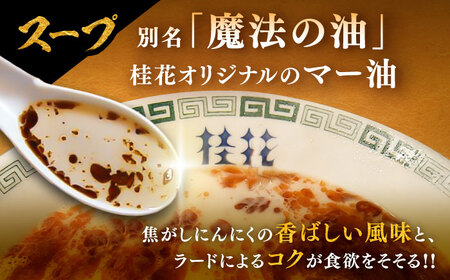 【全3回定期便】桂花ラーメン 2食入×5袋 / 豚骨 熊本ラーメン 鶏ガラスープ マー油 ストレート麺 濃厚 拉麺 簡単 手軽 便利 ケイカ 即席 人気 熊本県 菊陽町【桂花拉麺株式会社】[BHAR0