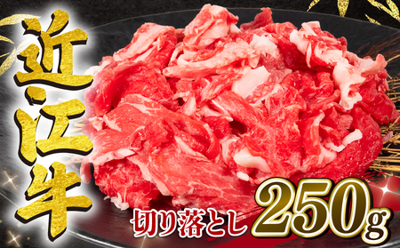 竜王町産近江牛 牛肉切落し 250g / 牛肉切り落とし[E501_N1_6] 6月発送