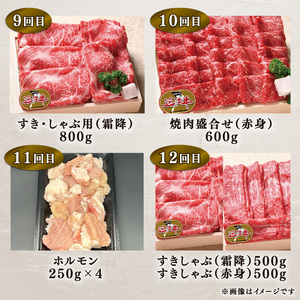 定期便 12回  特選近江牛食べつくしコース ( 定期便 1年 ステーキ肉 焼肉 焼き肉 定期便 ほほ肉 定期便 肉 モモ肉 定期便 バラ肉 定期便 肩ロース肉 定期便 赤身肉 定期便 サーロイン肉 