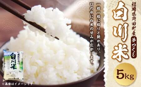 【新米先行予約】白川米 ( 夢つくし ) 5kg お米 白米【2025年10月下旬から順次発送予定】