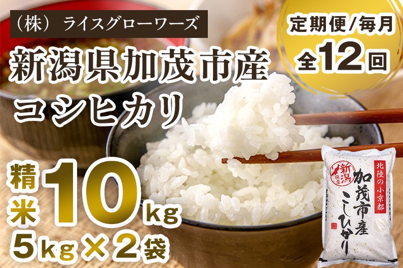 
                  【令和7年産】【定期便12ヶ月毎月お届け】新潟県加茂市産コシヒカリ 精米10kg（5kg×2）《順次出荷》 新潟県産コシヒカリ 新潟産コシヒカリ 新潟コシヒカリ 新潟県産こしひかり 新潟産こしひかり 新潟こしひかり コシヒカリ こしひかり お米 白米 米 定期便 （株）ライスグローワーズ
                
