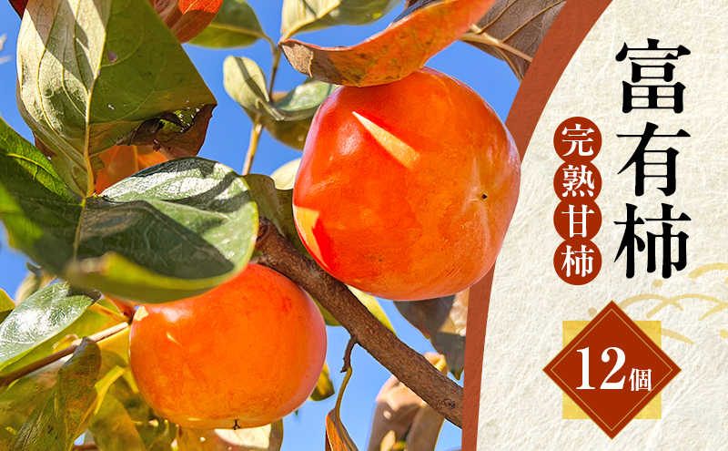 ハリヨファームの 富有柿 （完熟甘柿） 12個　柿 完熟 甘柿 果物 果実 秋の味覚 フルーツ おやつ デザート 旬 除草剤不使用 有機肥料使用 国産 岐阜県産 産地直送 